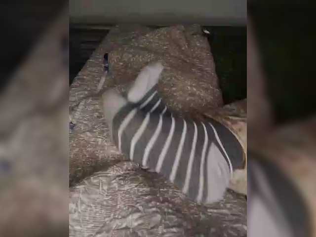 AlinaPopy