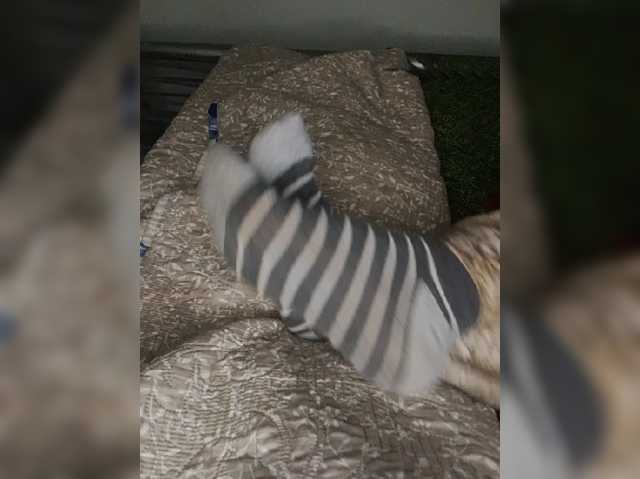 AlinaPopy