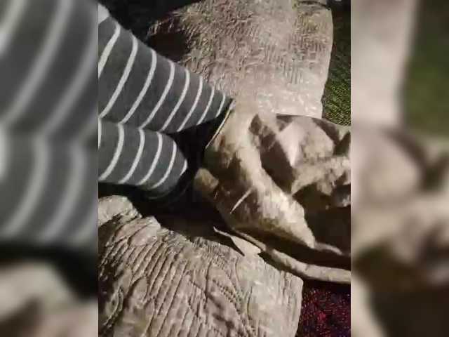 AlinaPopy, en vivo ahora en BongaCams