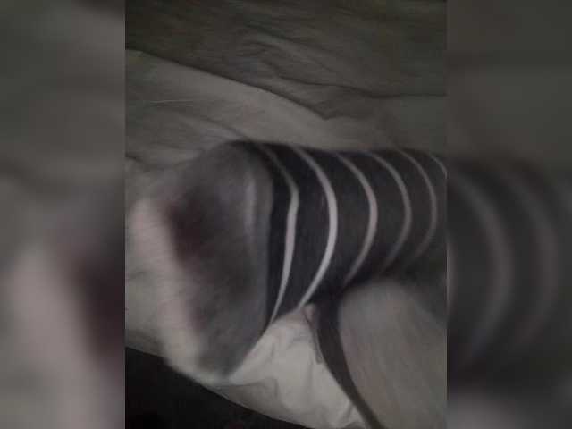 AlinaPopy