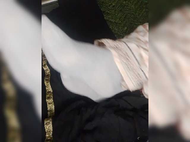 AlinaPopy