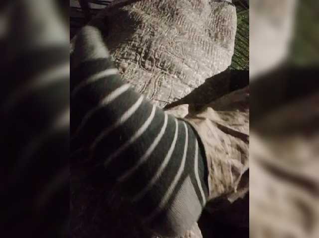 AlinaPopy live cam on BongaCams