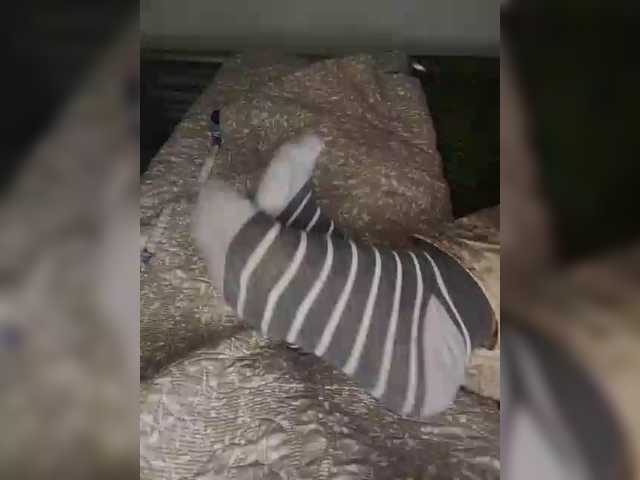 AlinaPopy live cam on BongaCams