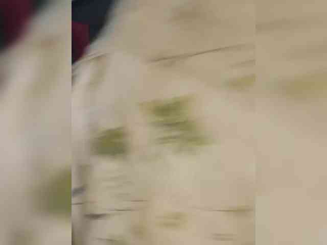 AlinaPopy