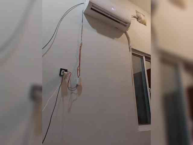 AlinaPopy webcam