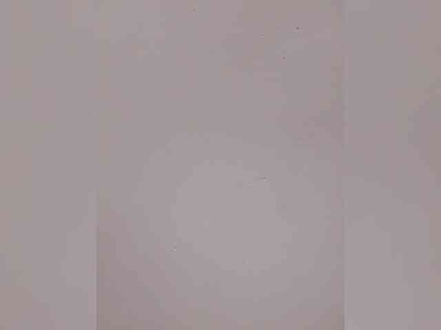 AlinaPopy