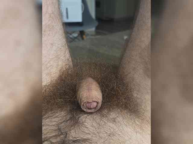 alexsey2