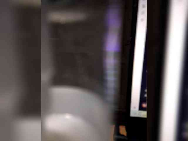 BLONDJob webcam