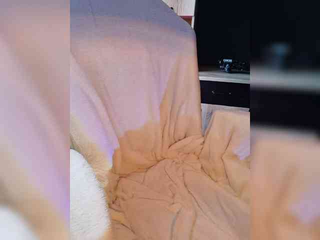 LittlePuppy webcam