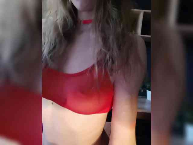 Модель: LittlePuppy