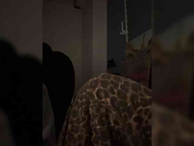 lalaoy webcam