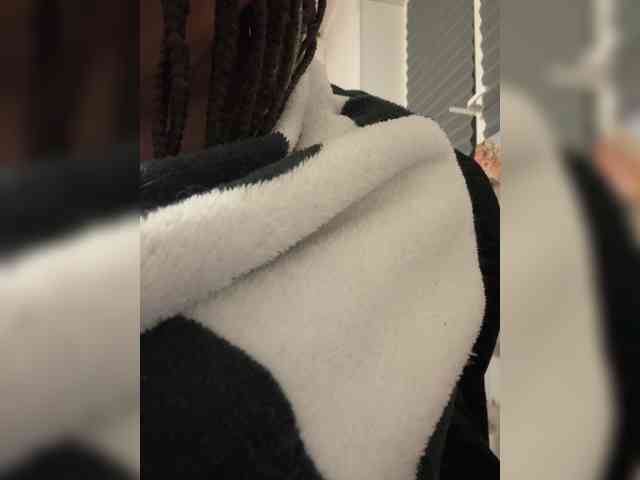 Model: _Noooo_