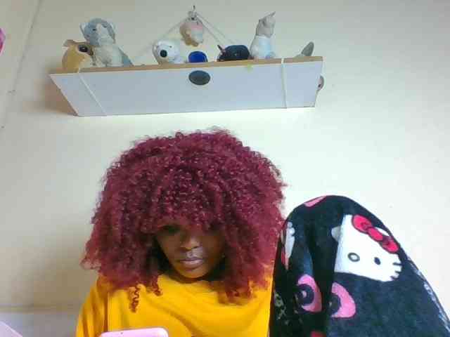 Blackcoco webcam