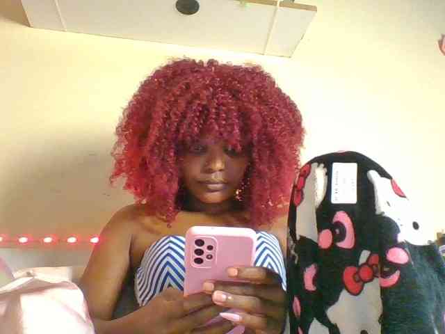 Blackcoco webcam