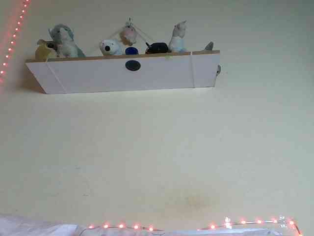 Blackcoco webcam
