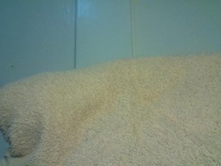 CuteTinkerbella Porn Show