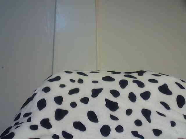 CuteTinkerbella webcam