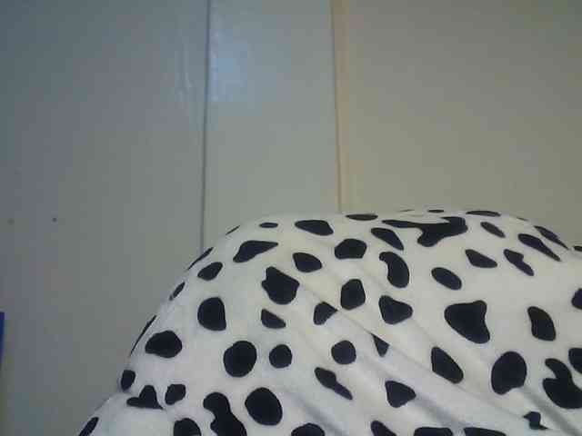 CuteTinkerbella webcam