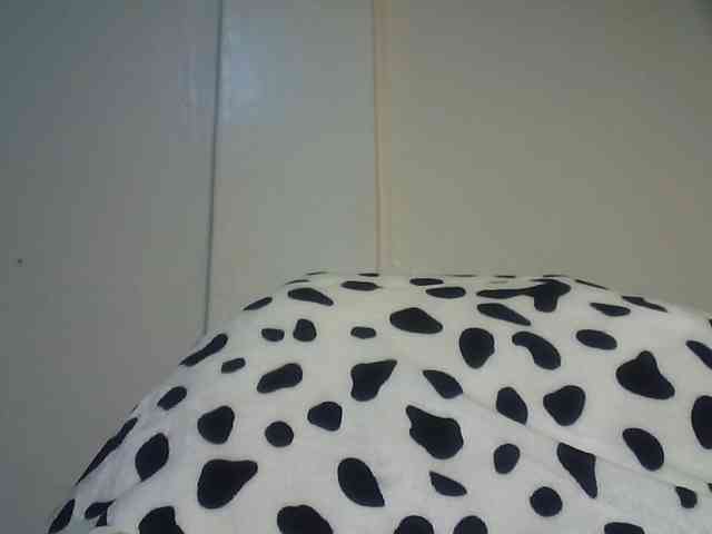 CuteTinkerbella webcam