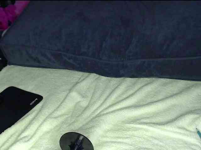 angelag webcam