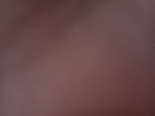 me-la-nia19