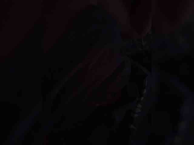 me-la-nia19 webcam