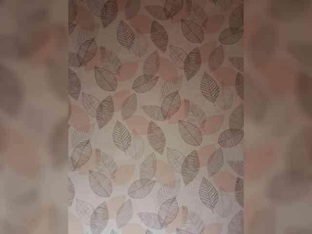 AnalnayaVecherina webcam