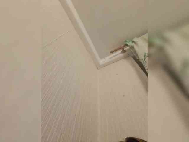 AnalnayaVecherina webcam