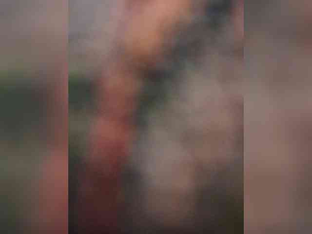 AnalnayaVecherina webcam