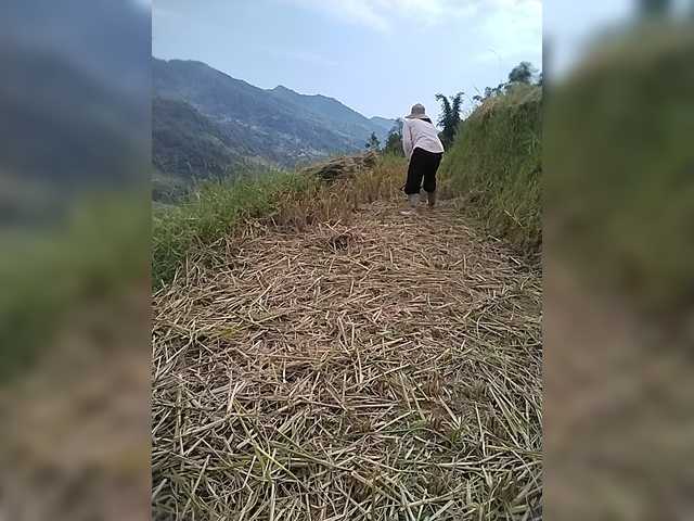 Susu-may