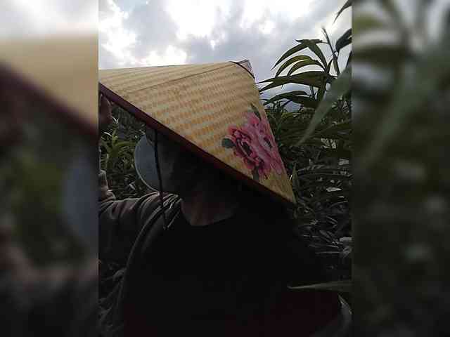 Susu-may