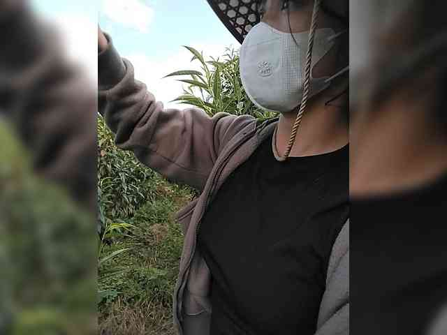 Susu-may