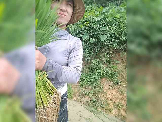 Susu-may