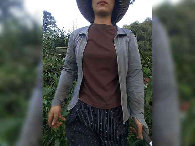 Susu-may