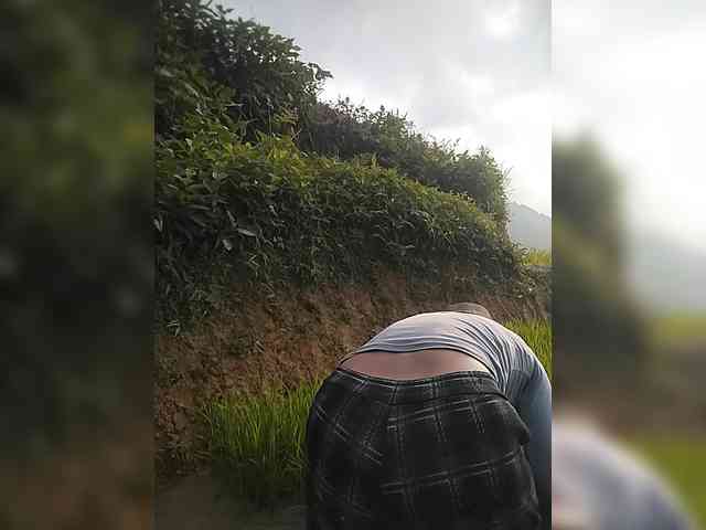 Susu-may