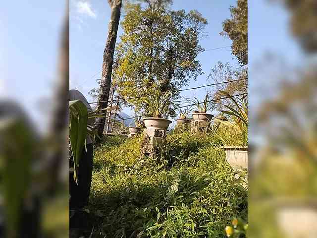 Susu-may