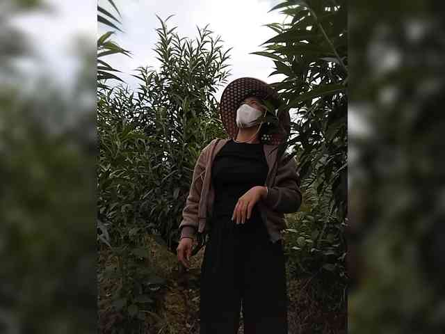 Susu-may