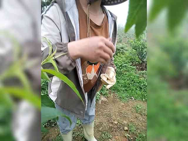 Susu-may