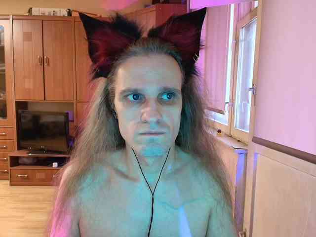 Foxhaven Live Webcam on BongaCams