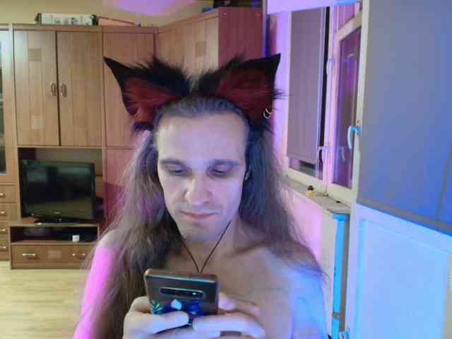 Foxhaven's live stream