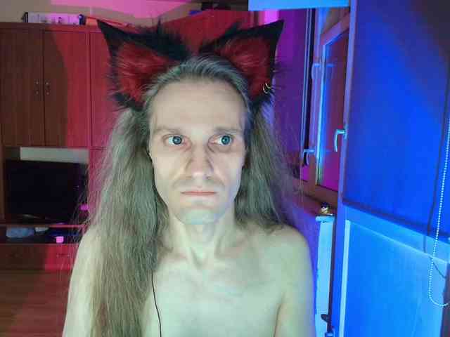 Foxhaven Live Webcam on BongaCams