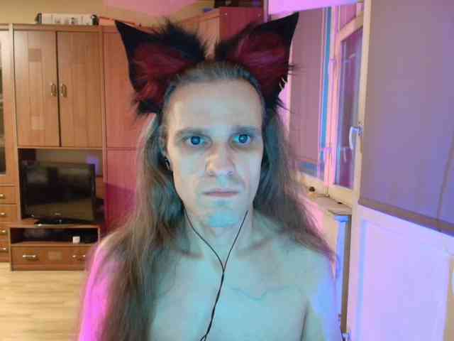 Foxhaven's cam show statistics and live stream