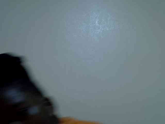 Queendee1 webcam