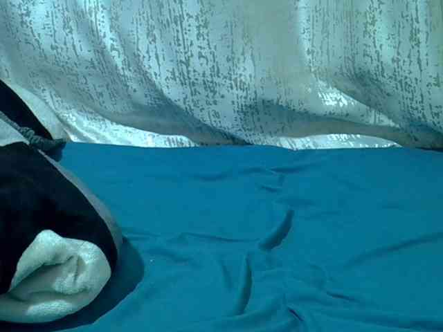 Queendee1 webcam
