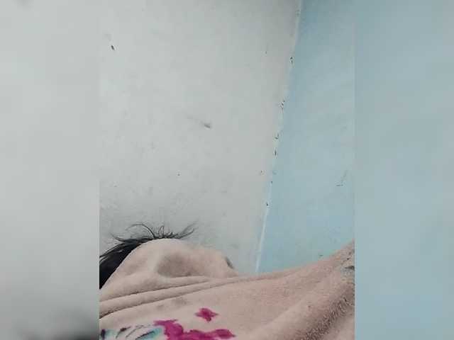 Randixo699 live cam on BongaCams