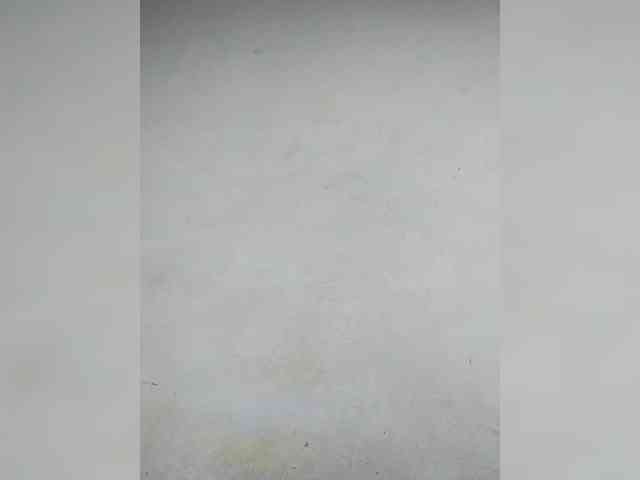 Randixo699 webcam