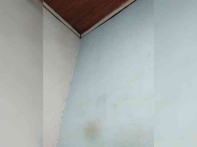 Randixo699 webcam