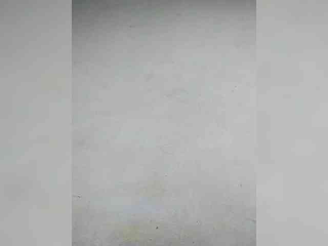 Randixo699 webcam