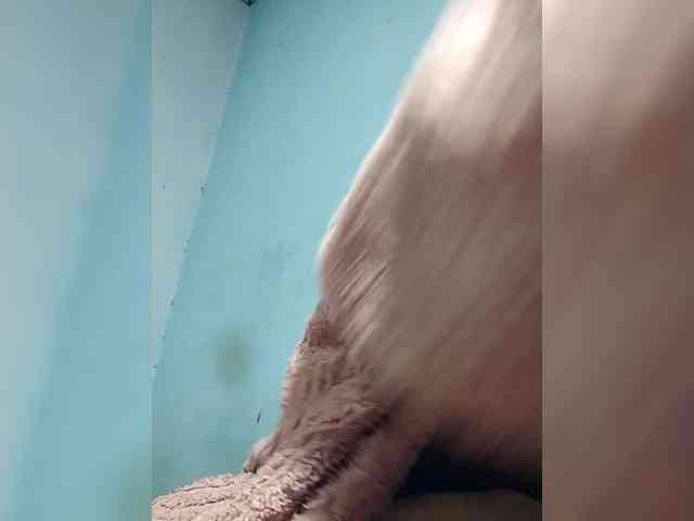 Randixo699 webcam