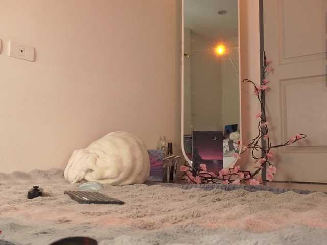 LilluCooper